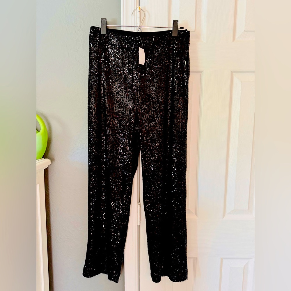 Loft Side Zip Sequin Pants